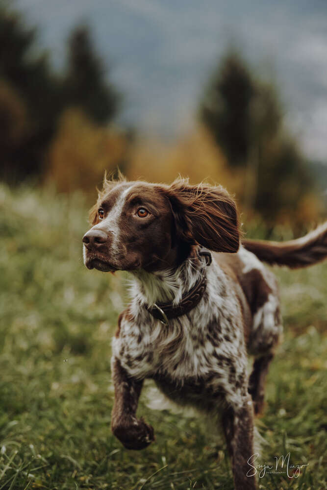 Svenja Münzer (Svenja Münzer)