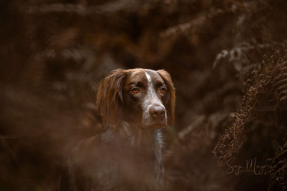 Svenja Münzer (Svenja Münzer)