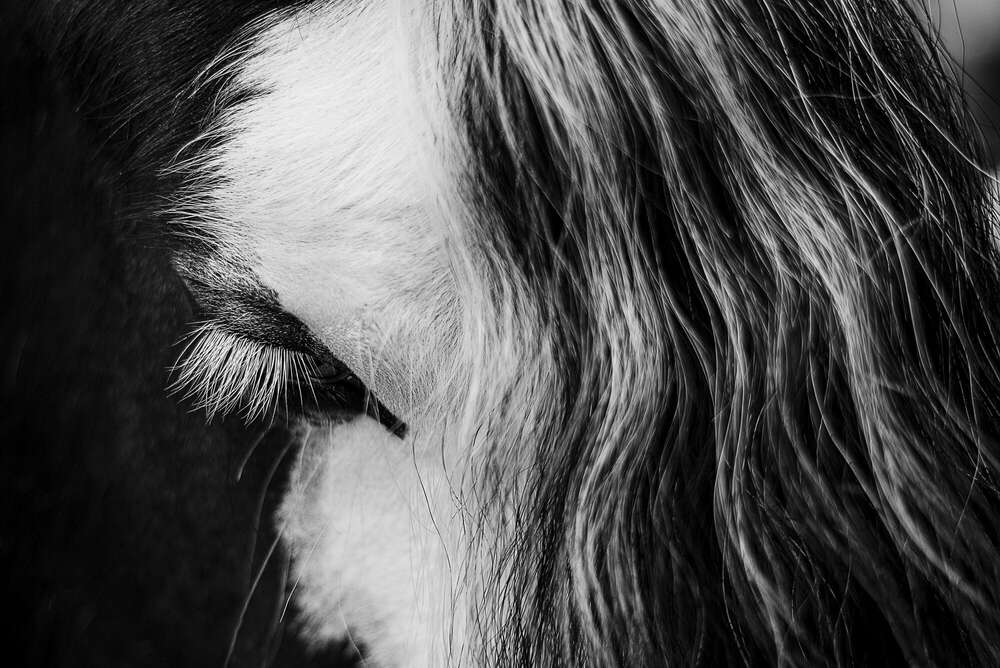 Svenja Münzer (Svenja Münzer)