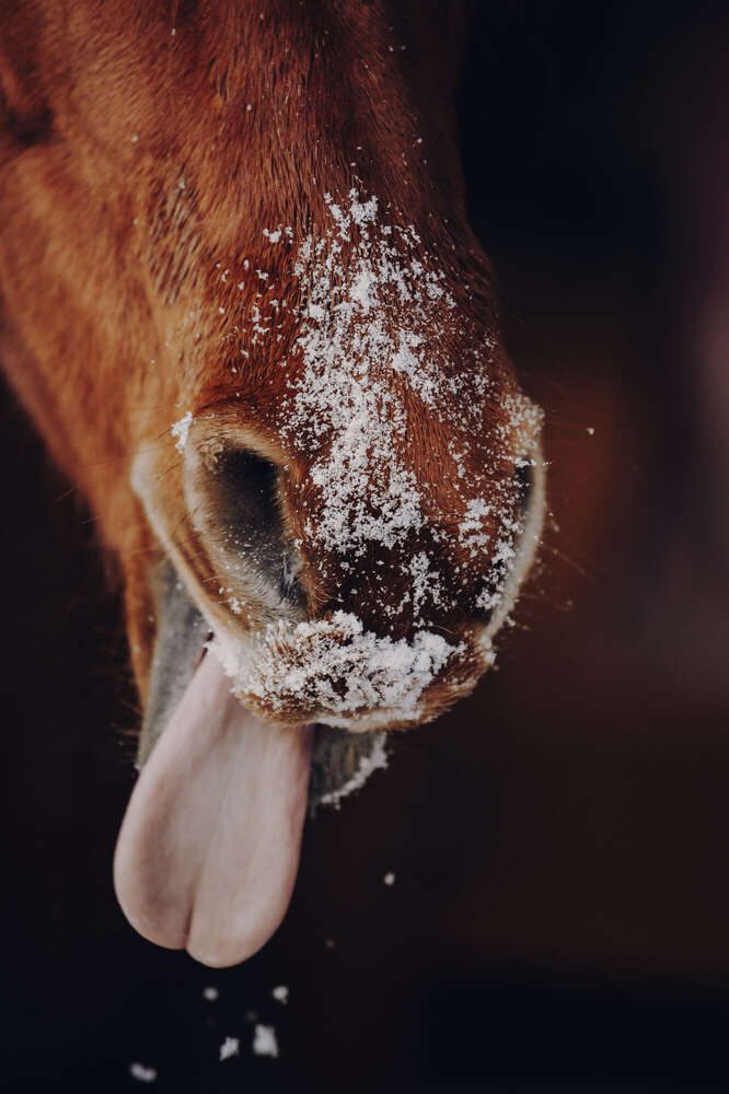 Svenja Münzer (Svenja Münzer)