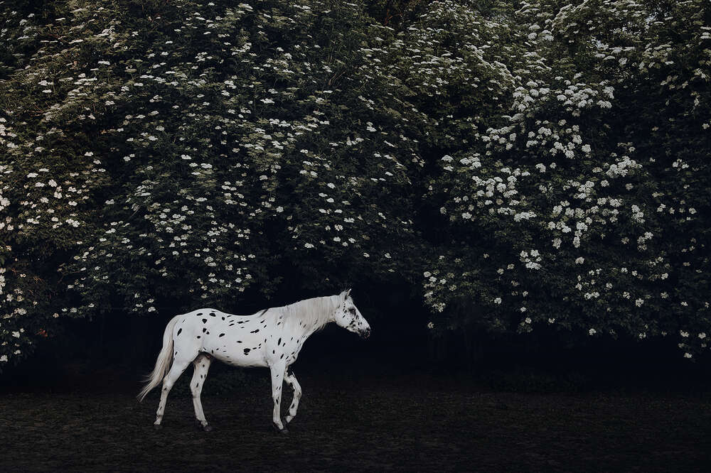 Svenja Münzer (Svenja Münzer)