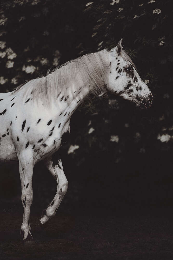 Svenja Münzer (Svenja Münzer)