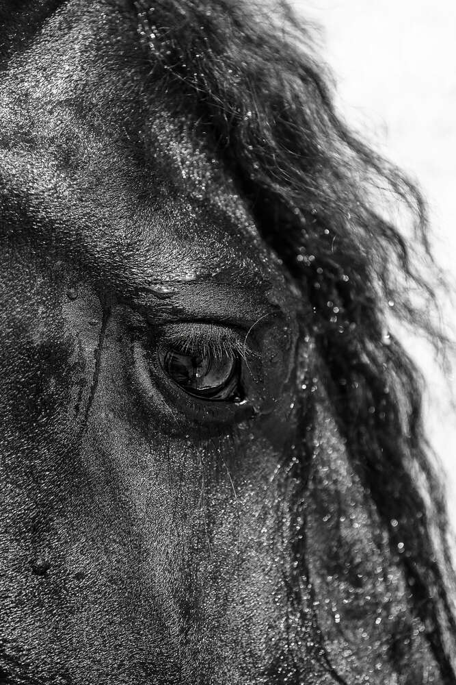 Svenja Münzer (Svenja Münzer)