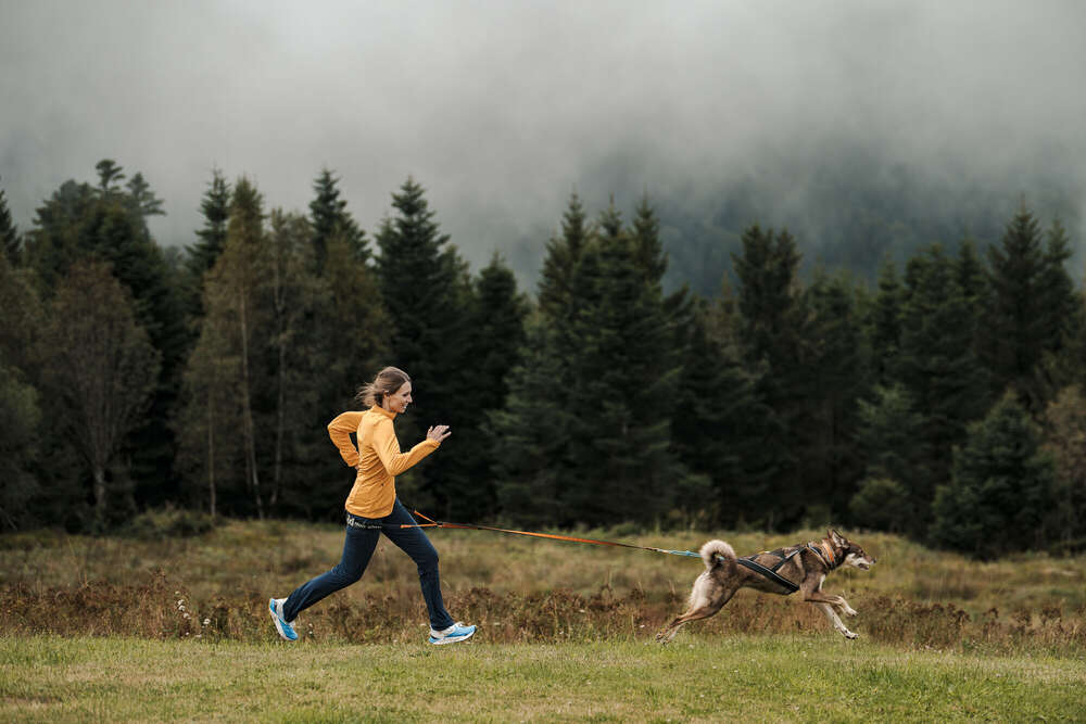 Businessfotos für Hundetrainerin (Svenja Münzer)