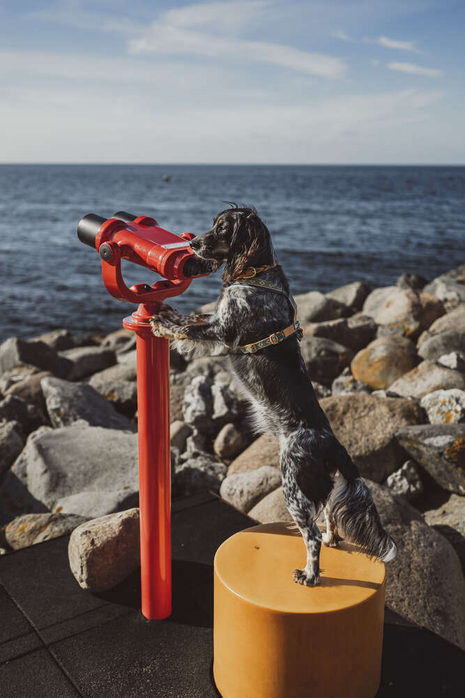 Svenja Münzer (Svenja Münzer)