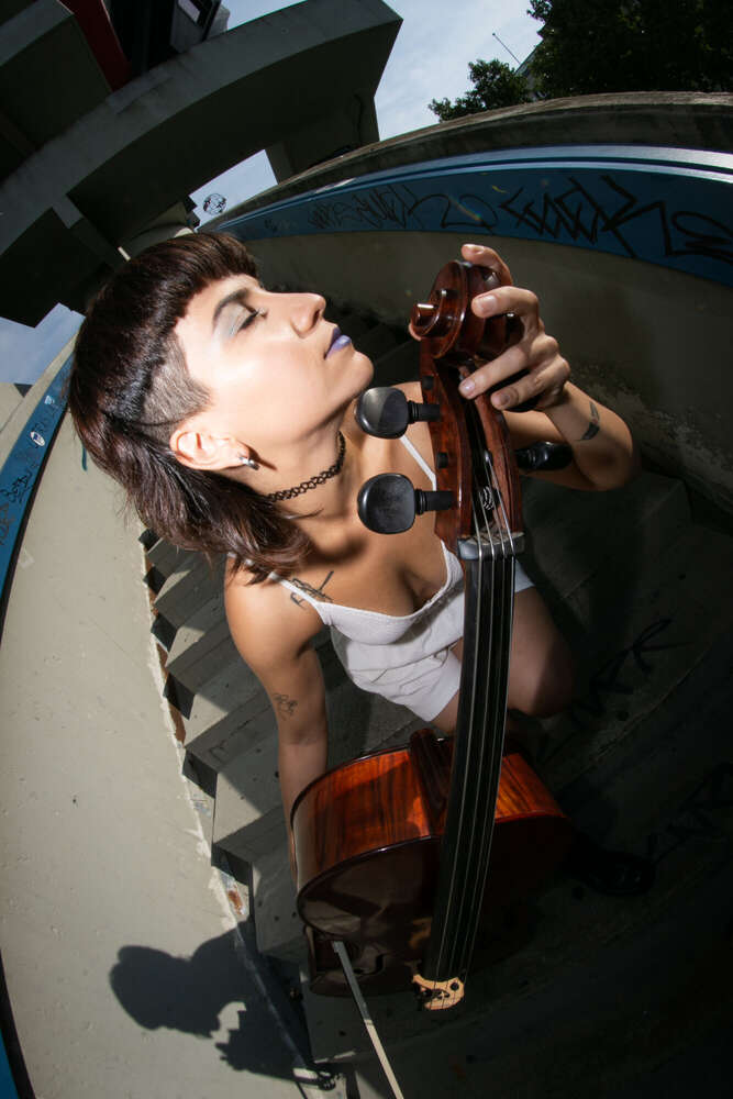 cello (Shay Vatandoust)