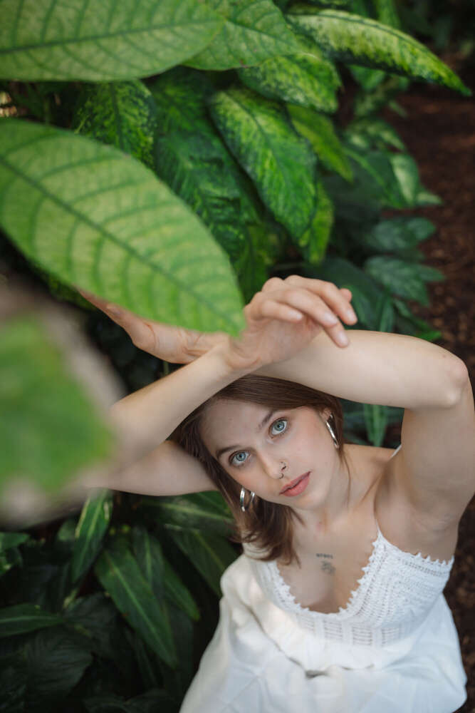 Sirin Beyaz (Sirin Beyaz)