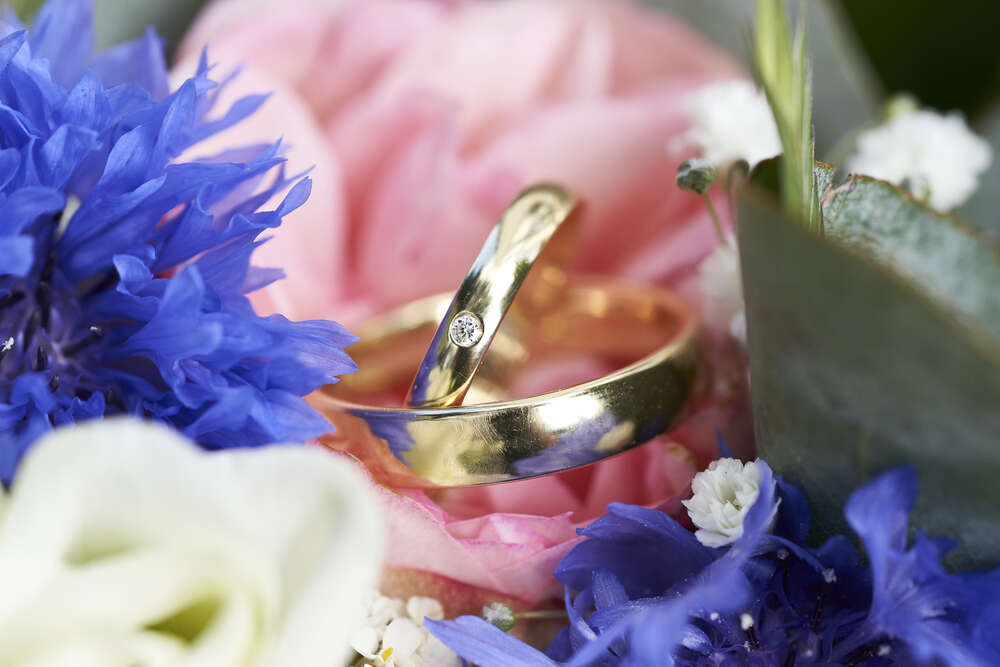 Alicia Solle (Alicia Solle)