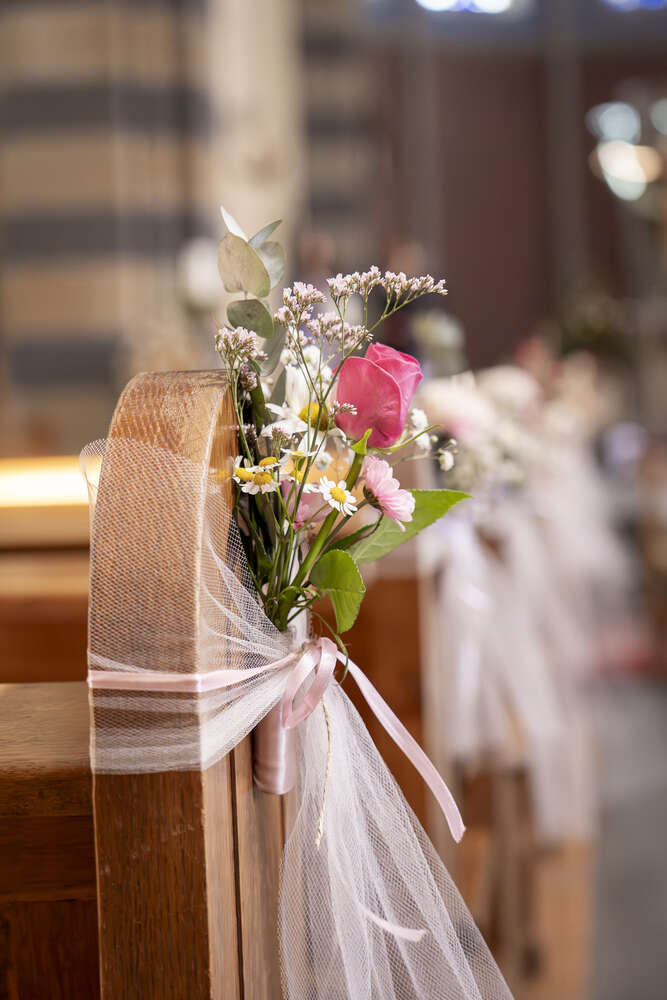 Alicia Solle (Alicia Solle)