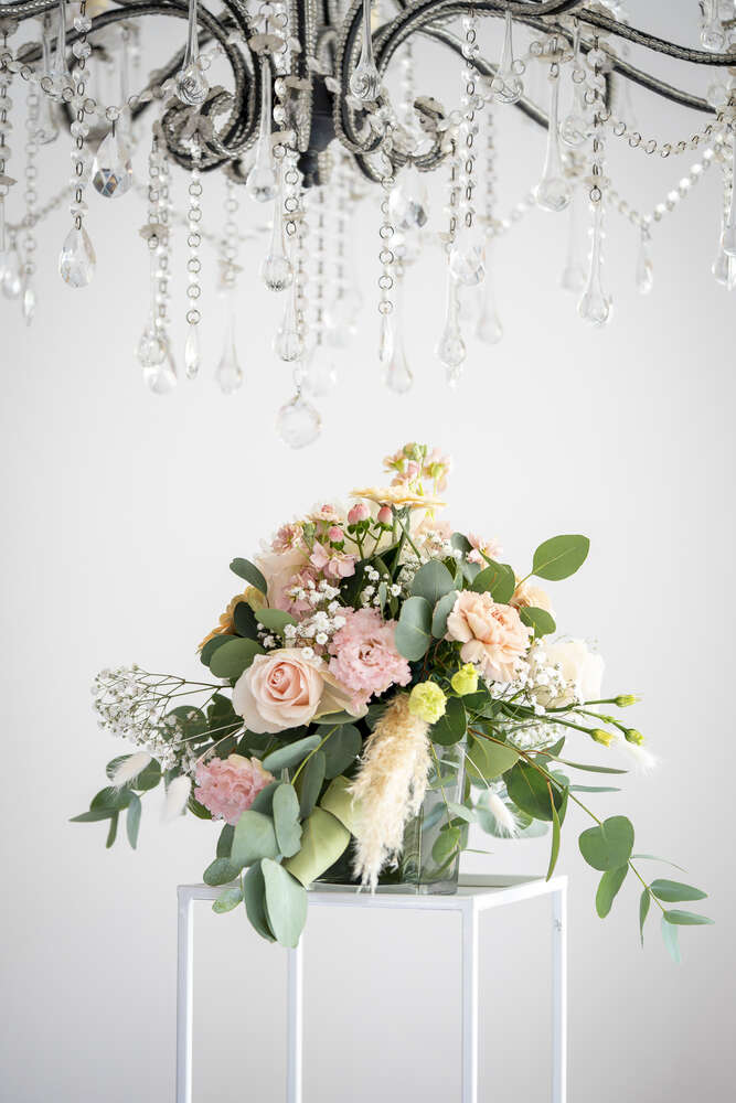 Alicia Solle (Alicia Solle)