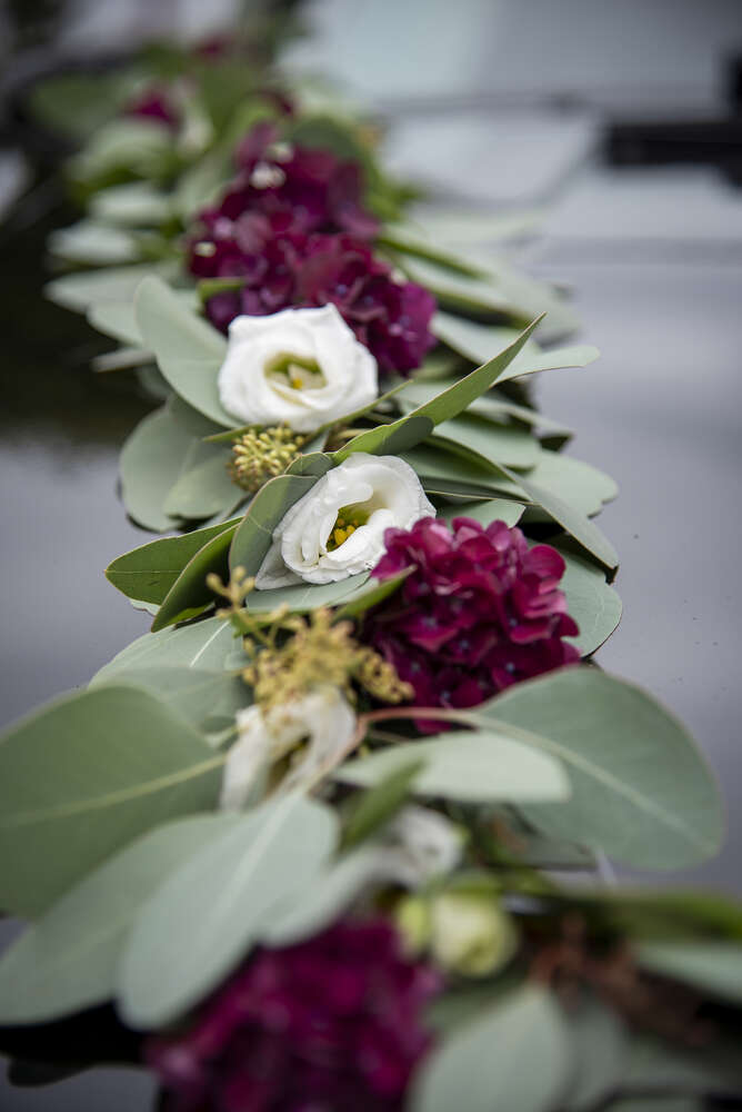 Alicia Solle (Alicia Solle)