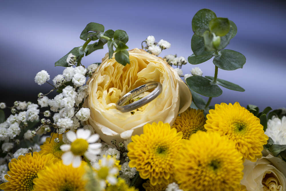 Alicia Solle (Alicia Solle)