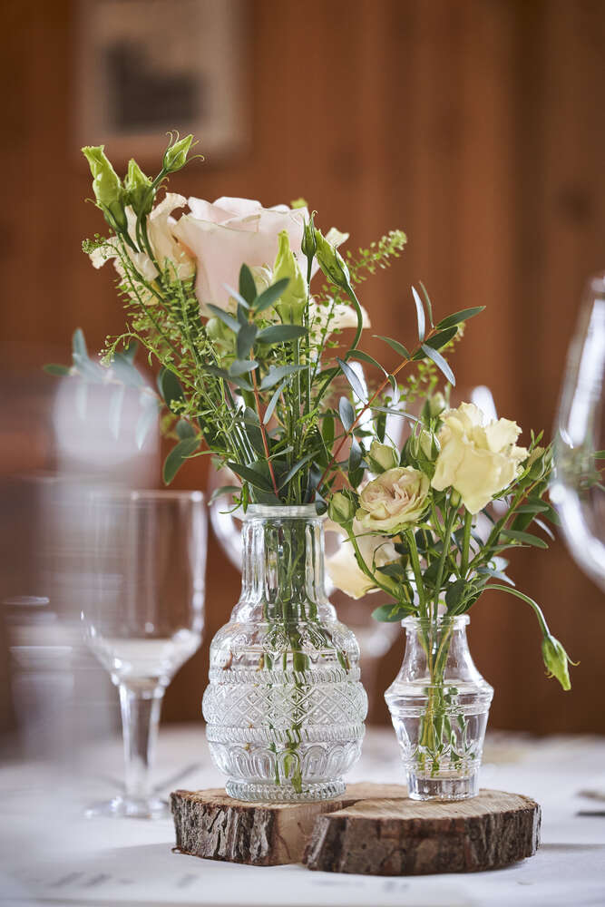 Alicia Solle (Alicia Solle)