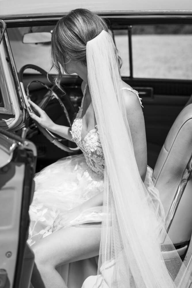 Alicia Solle (Alicia Solle)