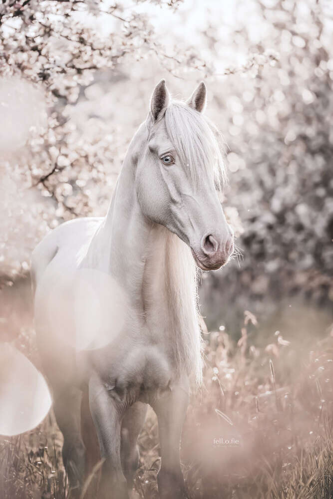 Mandy Jordan (Mandy Jordan)