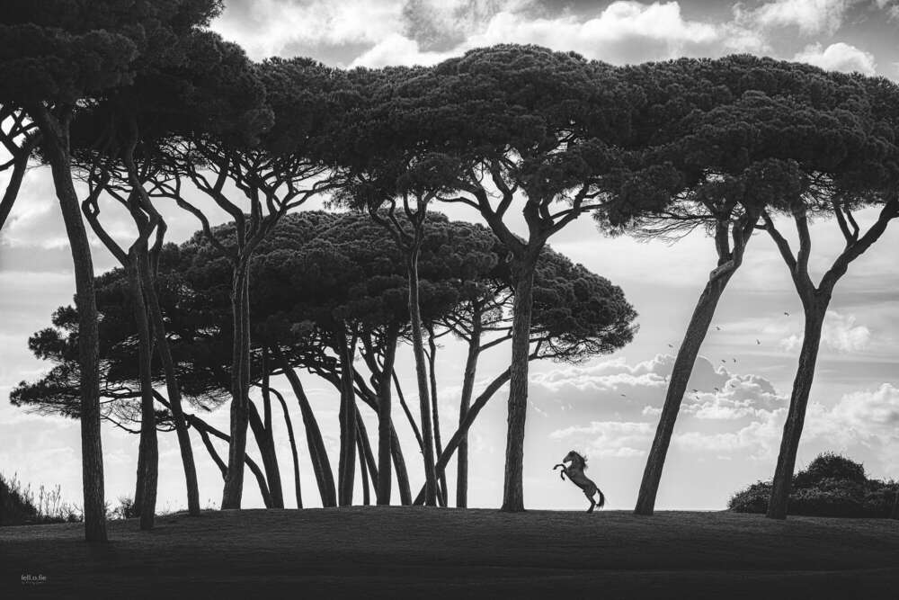 Mandy Jordan (Mandy Jordan)