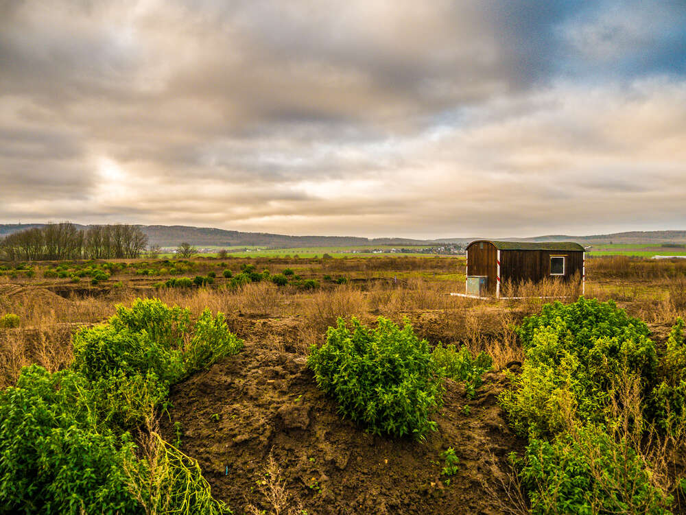 Jan-Felix Römer (Jan-Felix Römer)