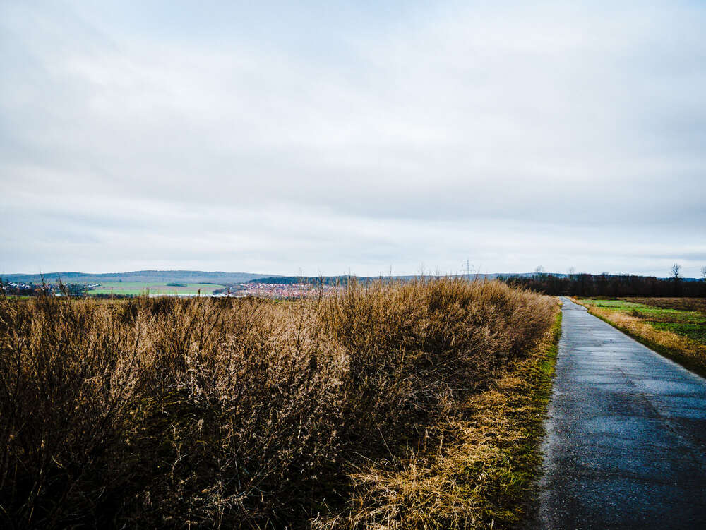 Jan-Felix Römer (Jan-Felix Römer)