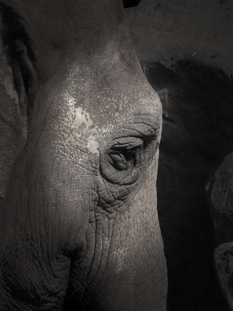 rico licht foto (rico licht foto)