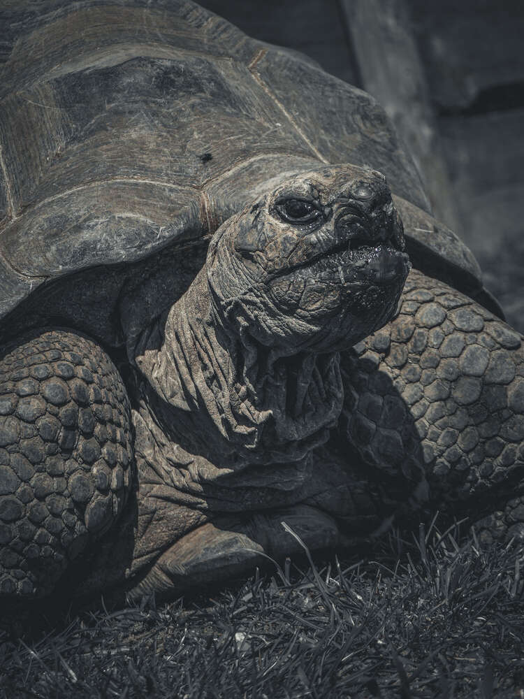 rico licht foto (rico licht foto)