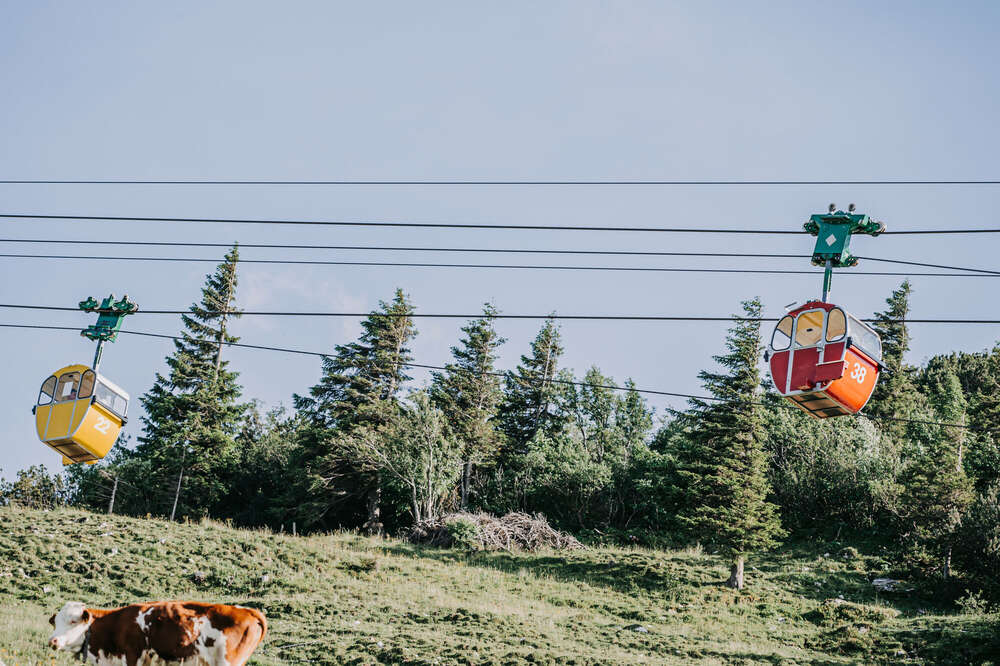 Amy Jacobs Photography