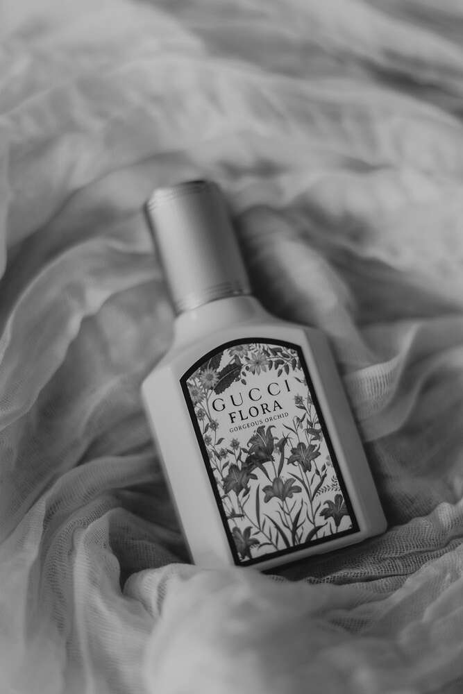 Alina Buchholz (Alina Buchholz)