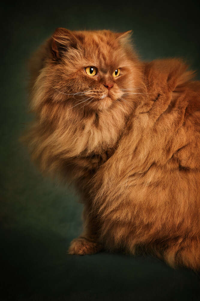 Maria Theresia Gallin