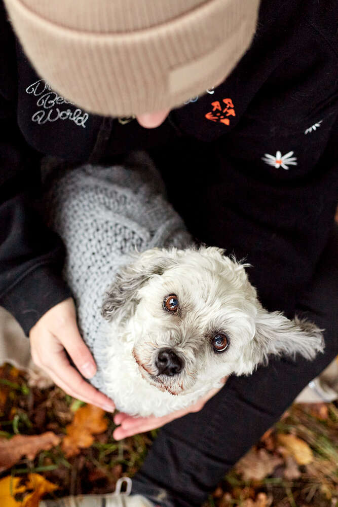 Elagrafie (Elagrafie)