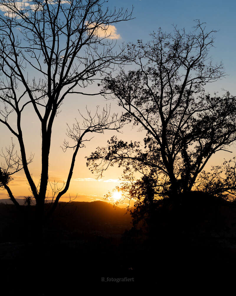 Björn-Andreas Bucher (Björn-Andreas Bucher)