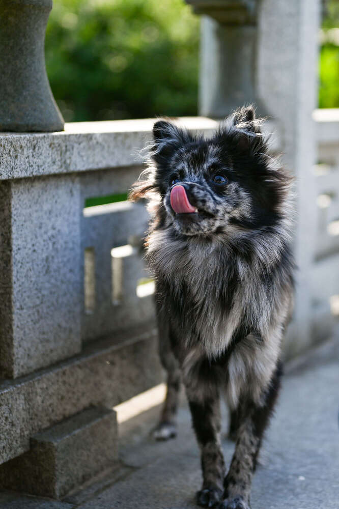 Anja Vetter (Anja Vetter)