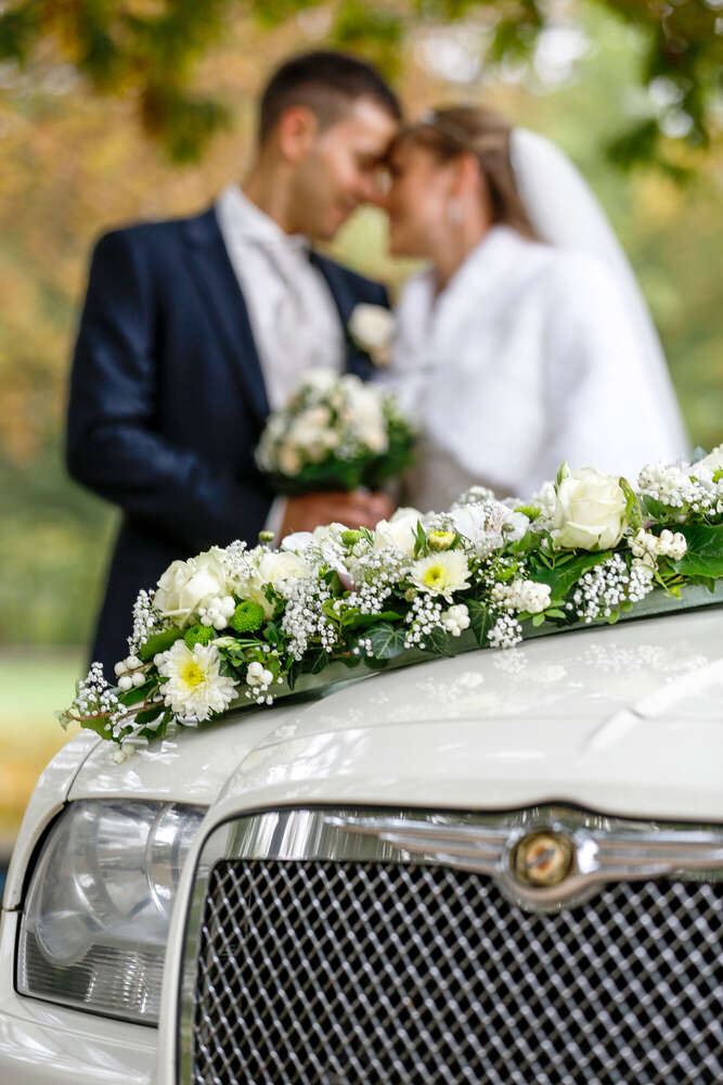 Hochzeitsfoto und Video (Hochzeitsfoto und Video)