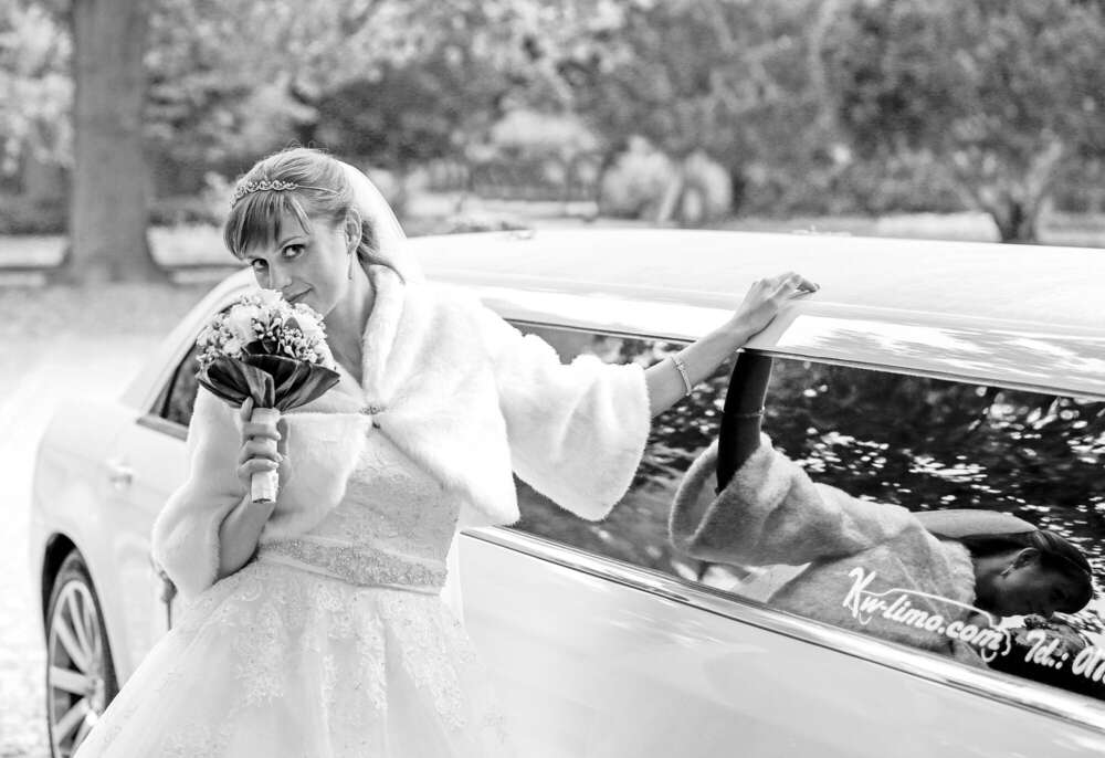 Hochzeitsfoto und Video (Hochzeitsfoto und Video)