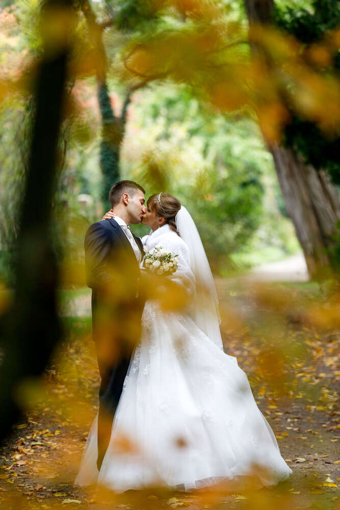 Hochzeitsfoto und Video (Hochzeitsfoto und Video)