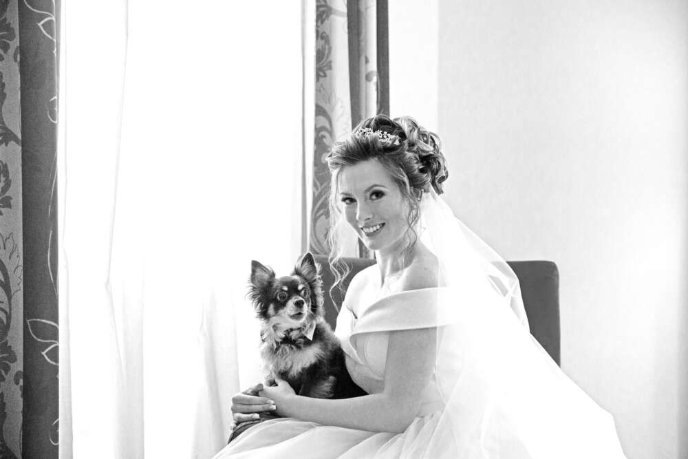 Hochzeitsfoto und Video (Hochzeitsfoto und Video)