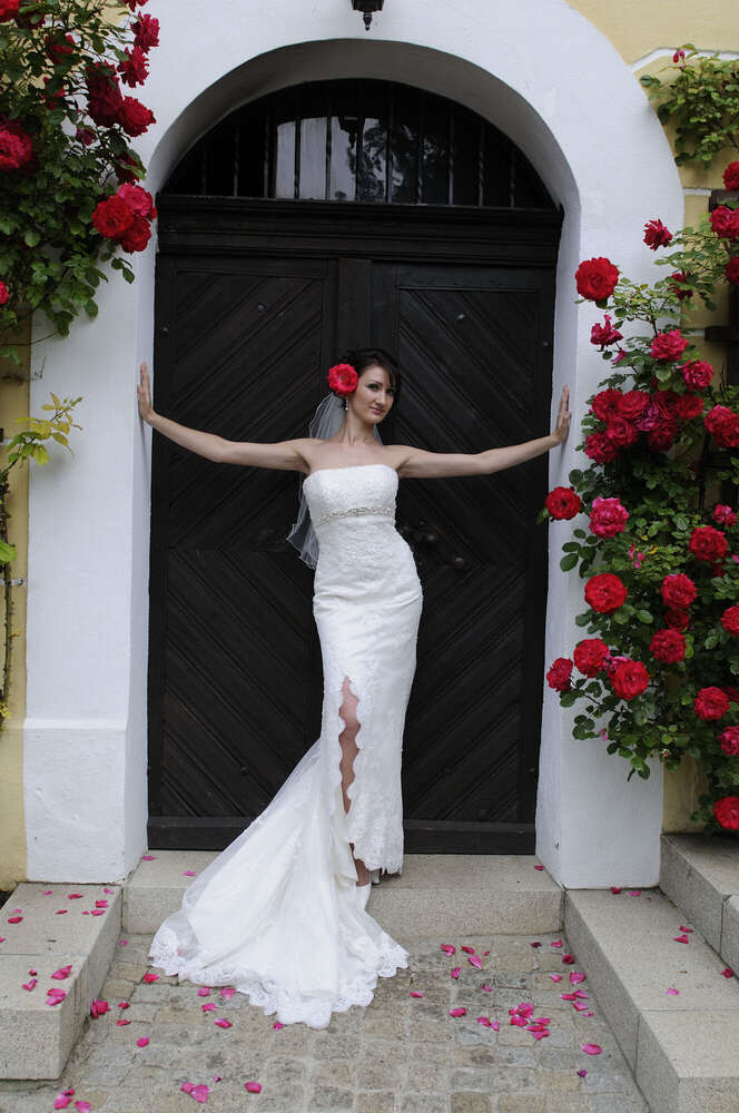 Hochzeitsfoto und Video (Hochzeitsfoto und Video)