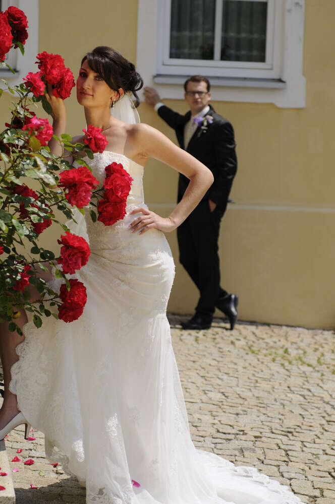 Hochzeitsfoto und Video (Hochzeitsfoto und Video)