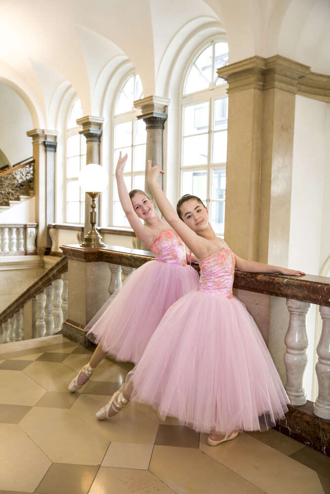 Hochzeitsfoto und Video (Hochzeitsfoto und Video)