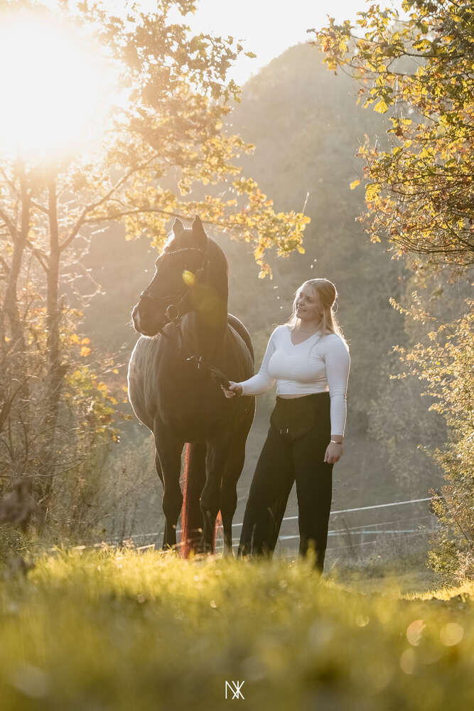 Pferdeshooting (Nx Photographics)