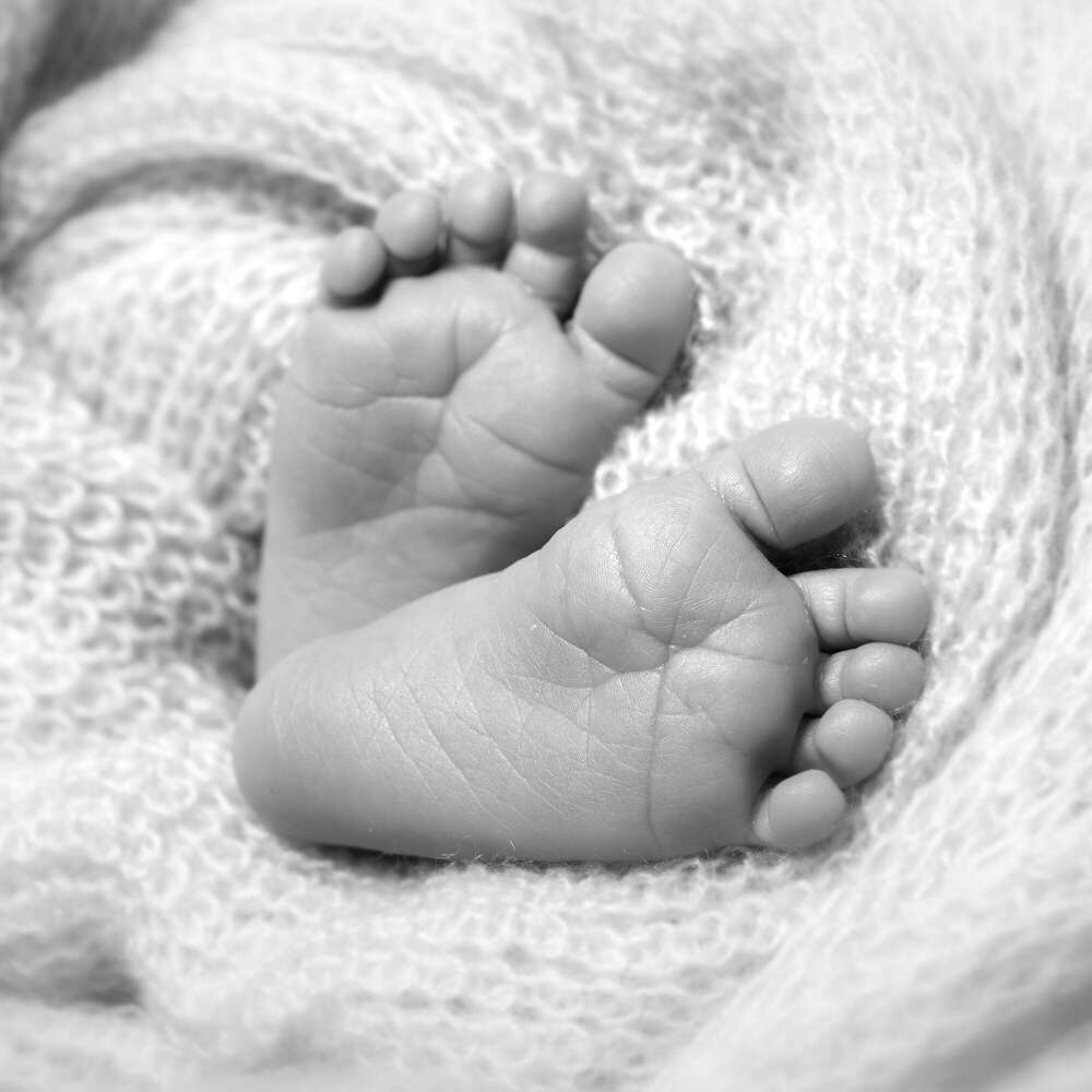 ANNETTE STIER – Fotografie (ANNETTE STIER – Fotografie)