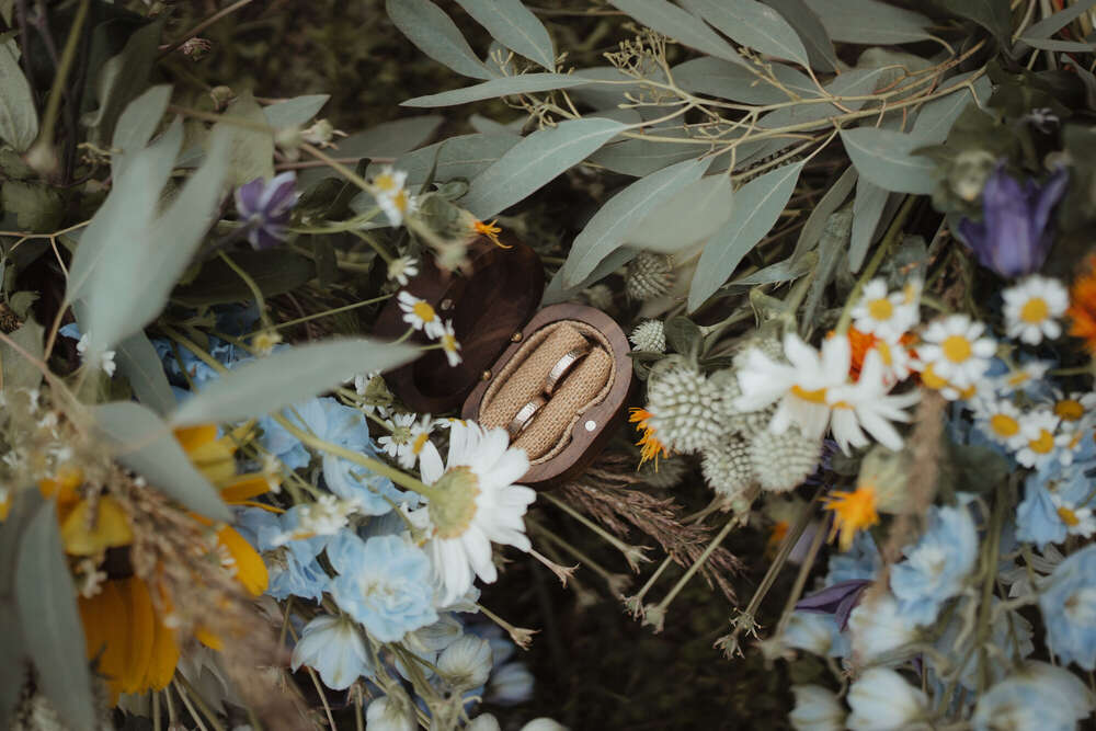 Marlene Komarek Fotografie (Marlene Komarek Fotografie)