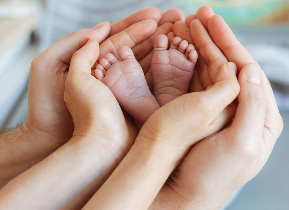 Melissa Abdo (Melissa Abdo)