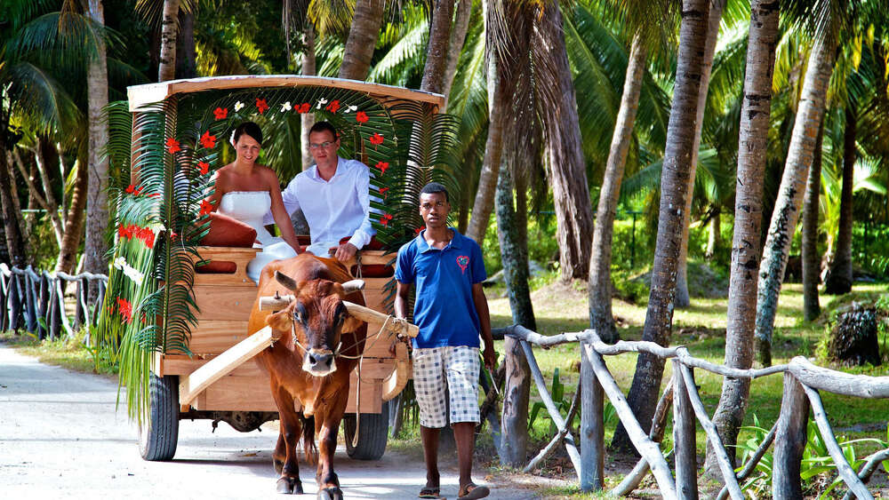 Seychelles Wedding Photographer (Seychelles Wedding Photographer)