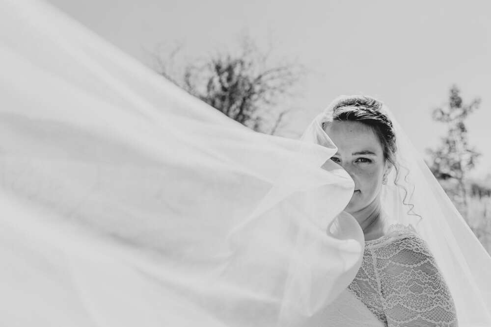 bilderdiesprechen.de