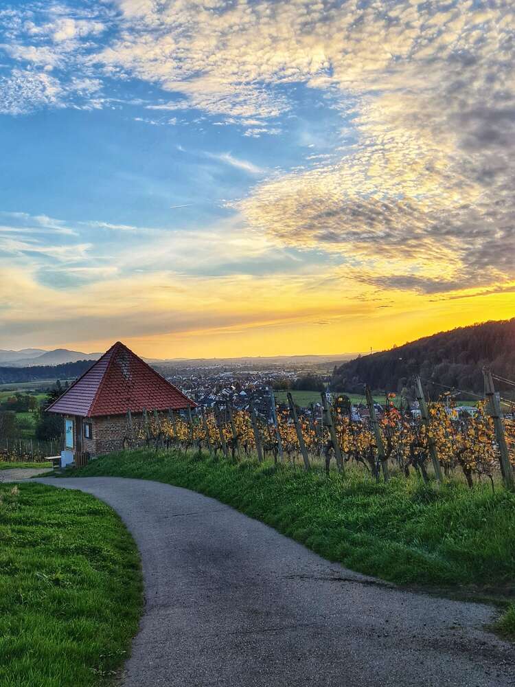 Martina Bögelsbacher