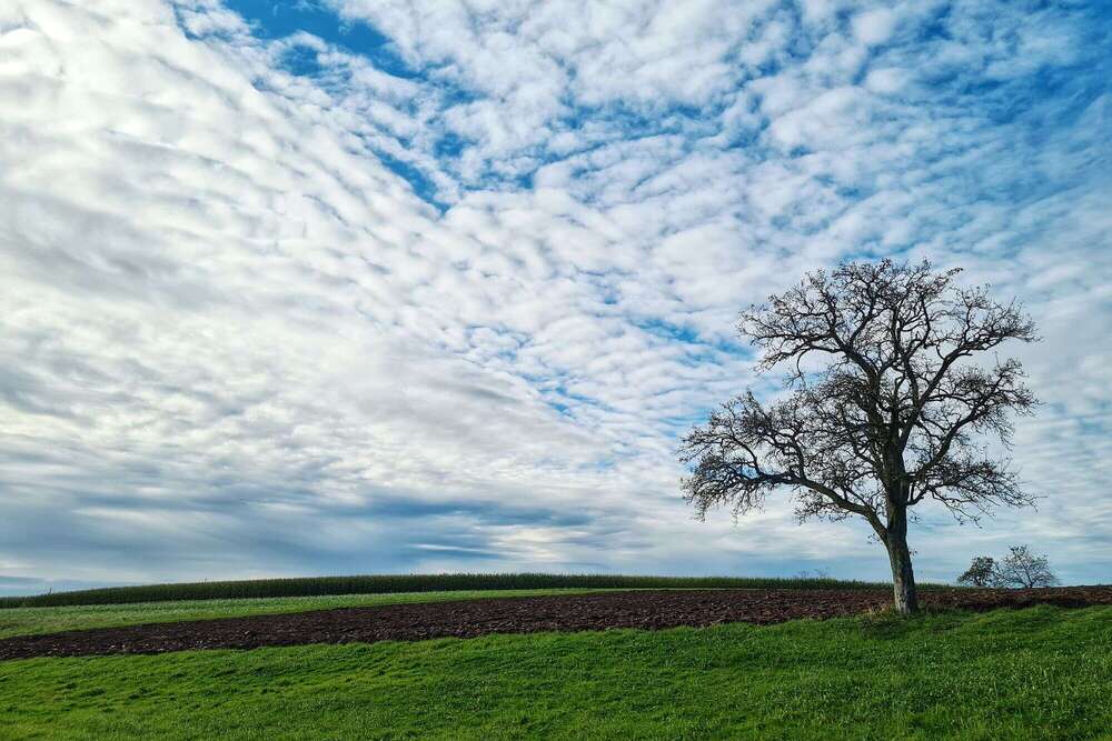 Martina Bögelsbacher