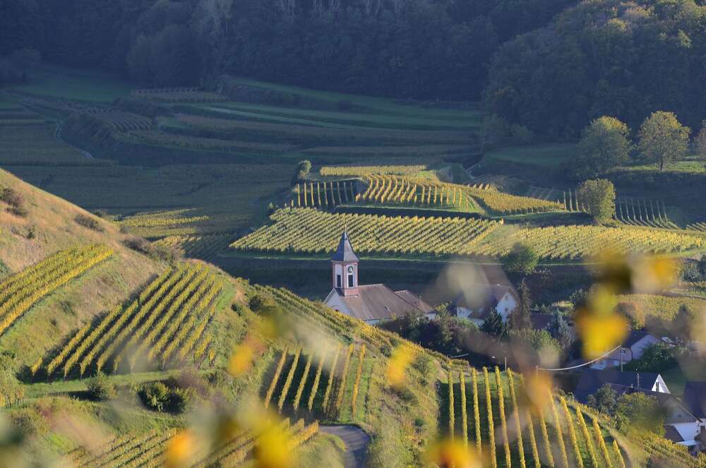 Martina Bögelsbacher