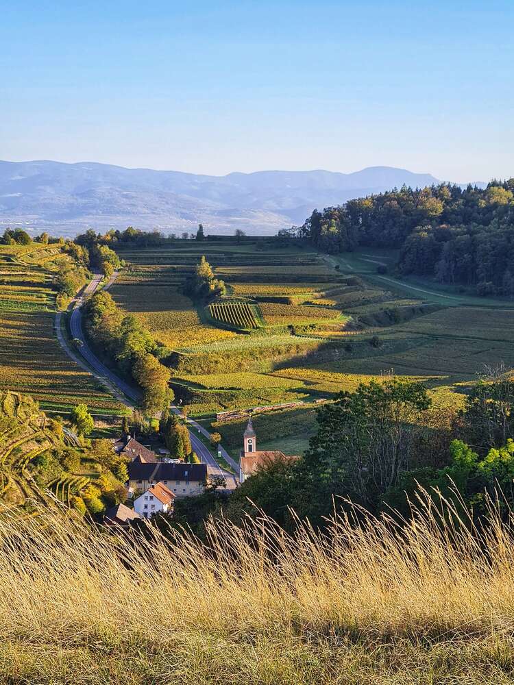 Martina Bögelsbacher