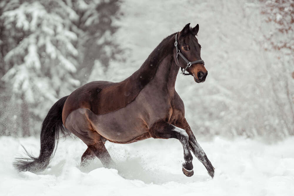 Mabulux Fotografie (Mabulux Fotografie)