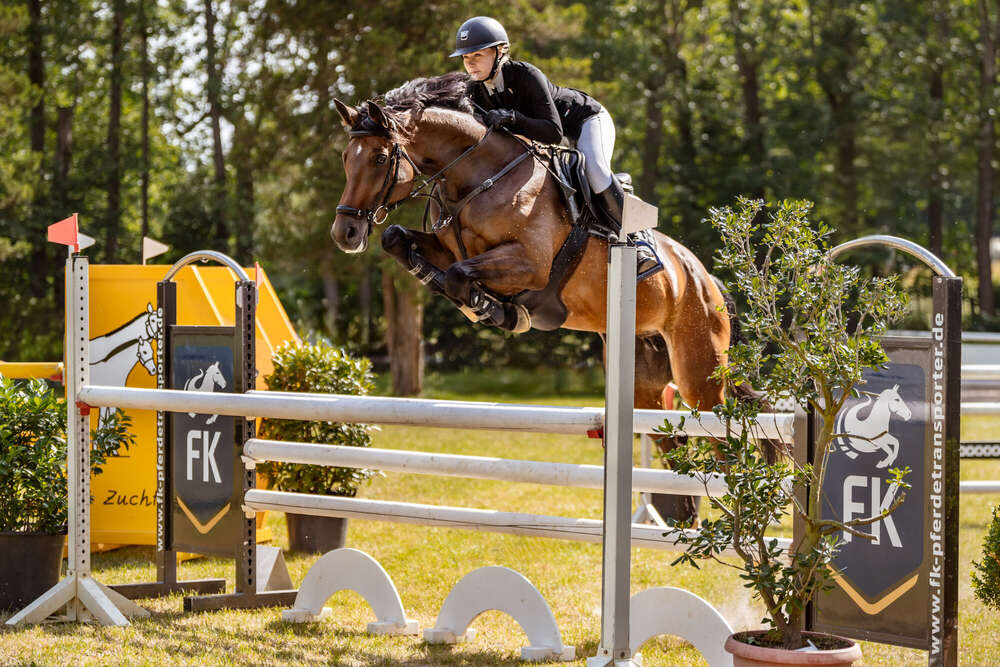 Mabulux Fotografie (Mabulux Fotografie)