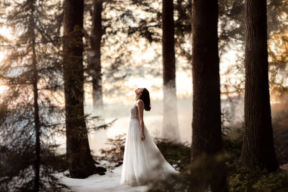 Mabulux Fotografie (Mabulux Fotografie)